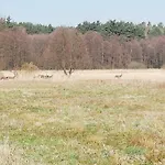 Kwatera prywatna Agrojelonki *