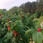 Agrojelonki Kwatera prywatna *