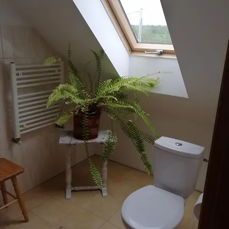 Agrojelonki Gietrzwałd