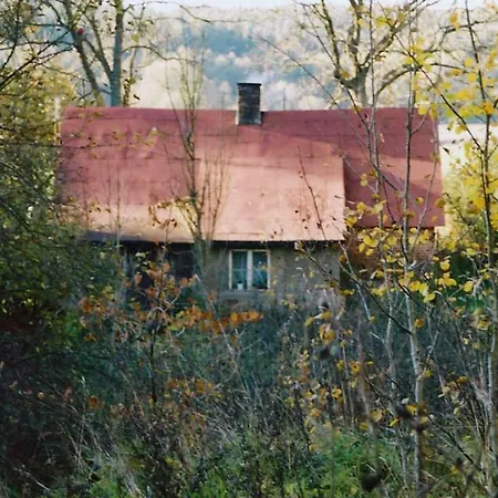 Agrojelonki