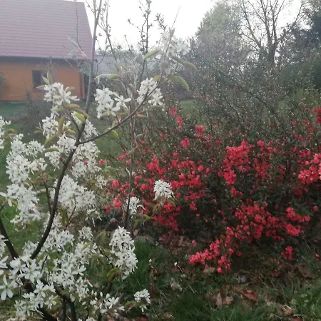 Agrojelonki Gietrzwałd