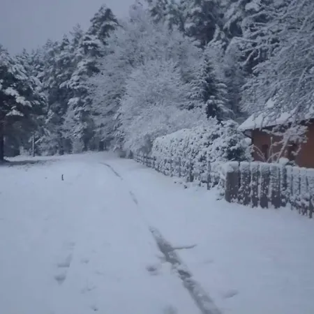 Agrojelonki Gietrzwald